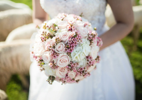 Journal Blog is Here