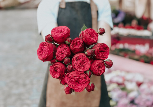 Welcome to Journal Blog